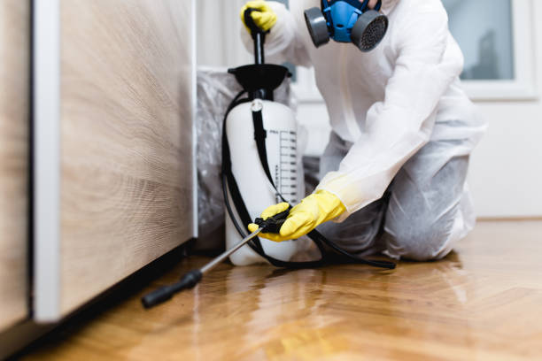 Best Pest Control for Homes  in Red Cloud, NE