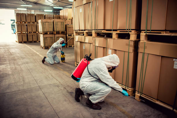 Best Affordable Pest Control Services  in Red Cloud, NE