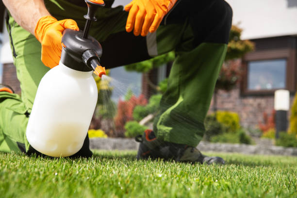 Best Wasp Removal Services  in Red Cloud, NE