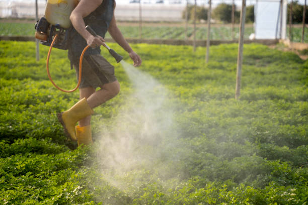 Best Pest Control Treatment  in Red Cloud, NE