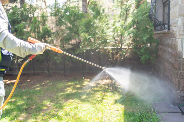 Best Insect Control  in Red Cloud, NE