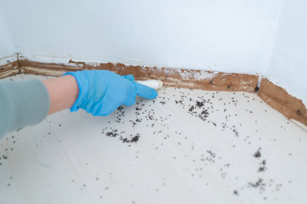 Best Pest Prevention Services  in Red Cloud, NE